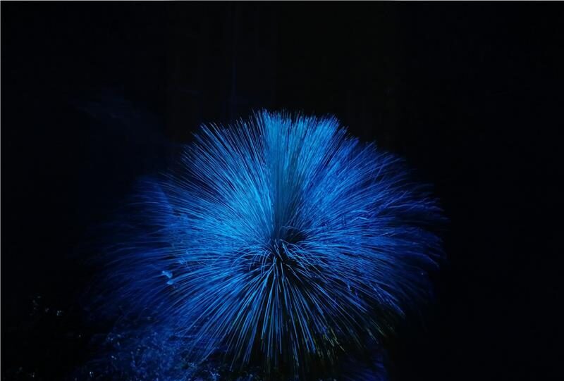 7 KPIs Every Founder Should Track Using a Dashboard