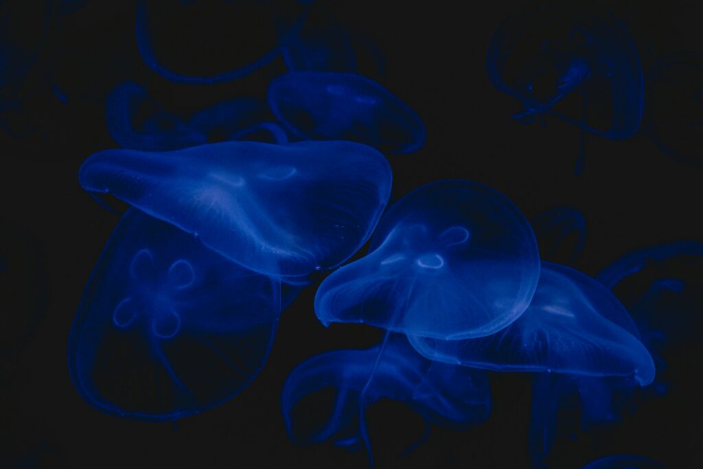 How Data Dashboards Drive Faster & Smarter Decisions? 