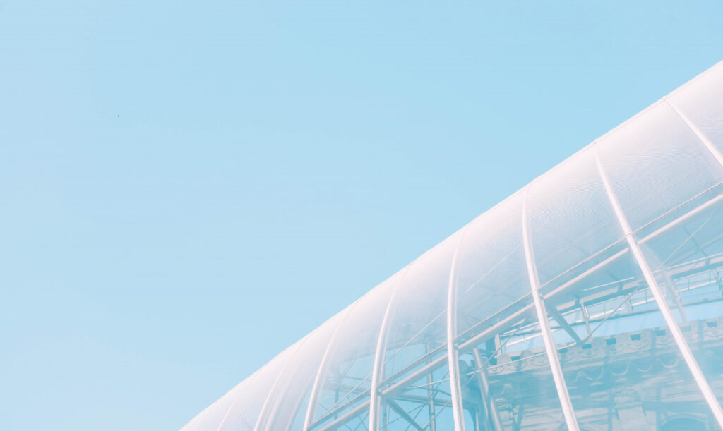 AI Adoption for Enterprises: Opportunities and Risks 