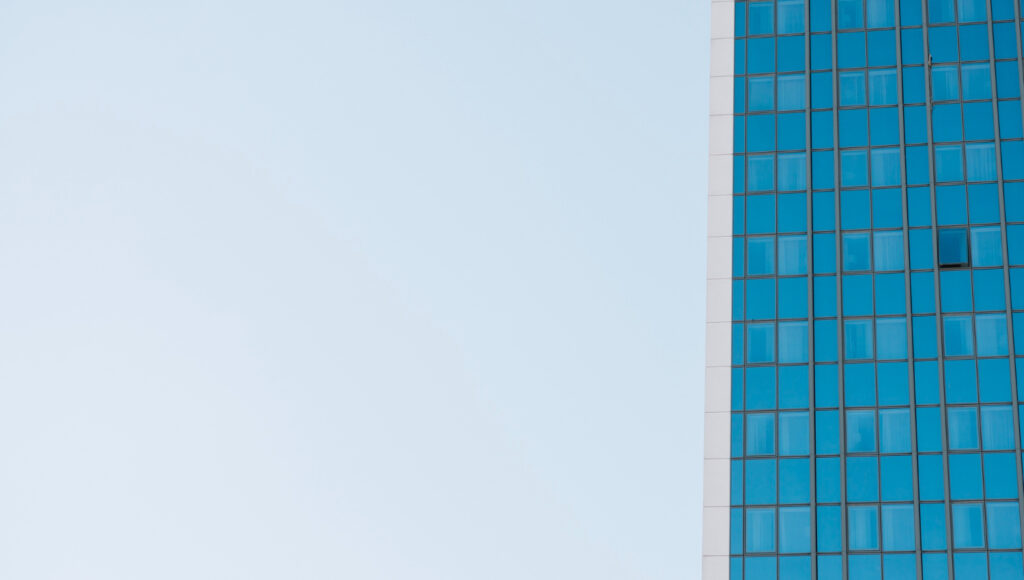 AI development service