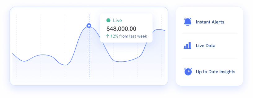 Live revenue chart with instant alerts panel